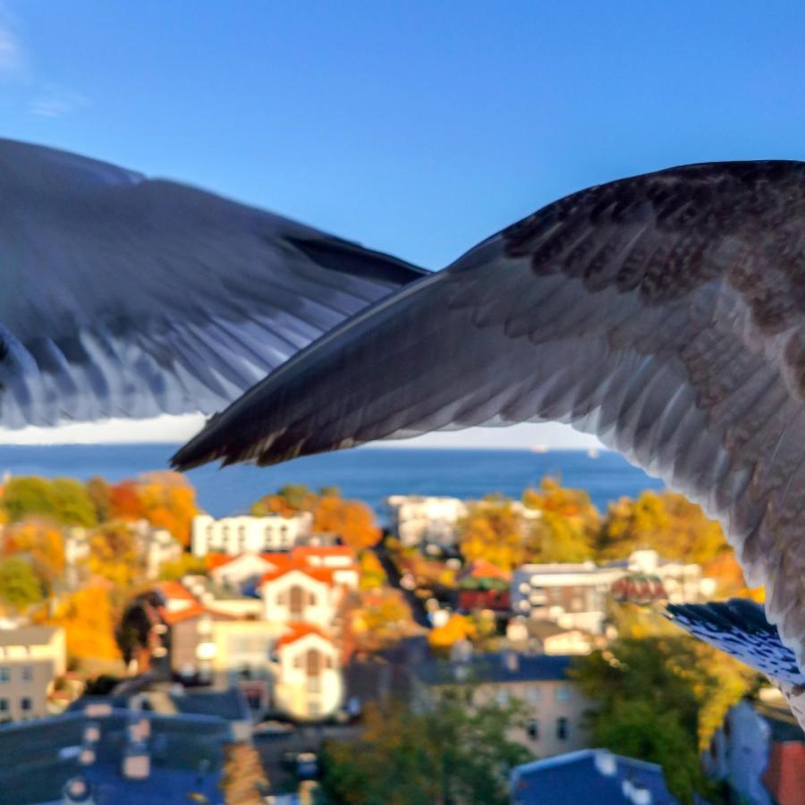 Pokoje Przy Plazy Z Widokiem Na Morze Sopot Esterno foto