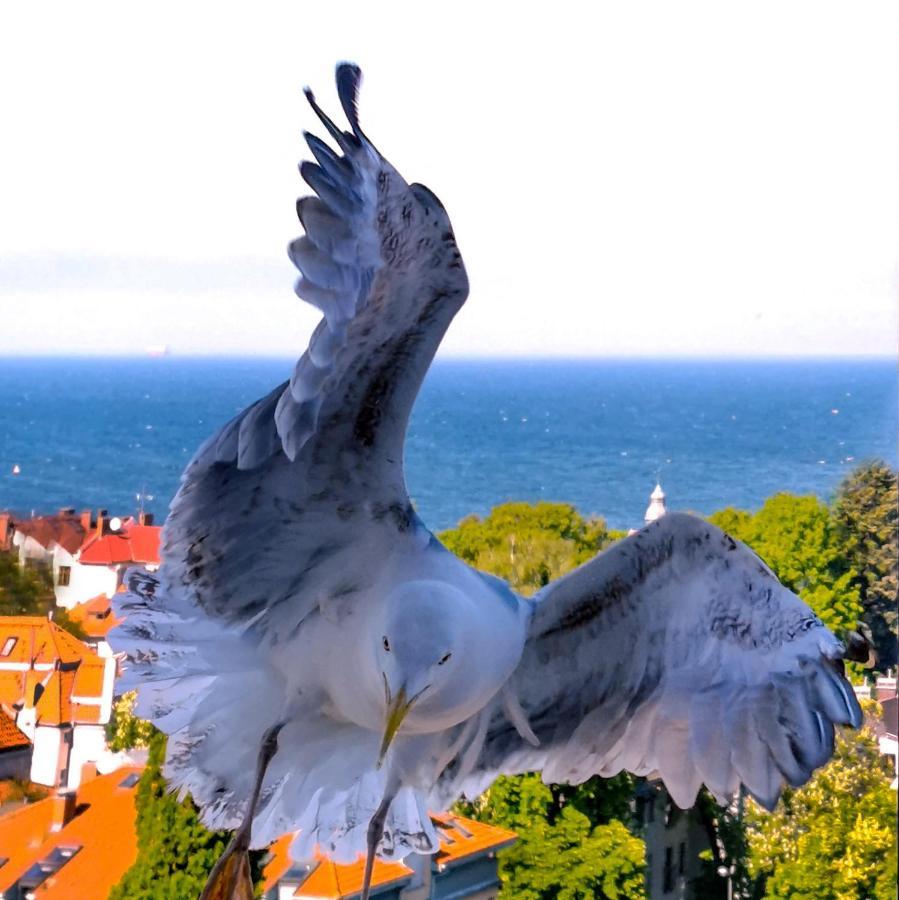 Pokoje Przy Plazy Z Widokiem Na Morze Sopot Esterno foto