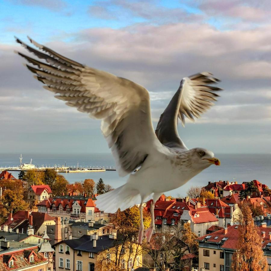 Pokoje Przy Plazy Z Widokiem Na Morze Sopot Esterno foto
