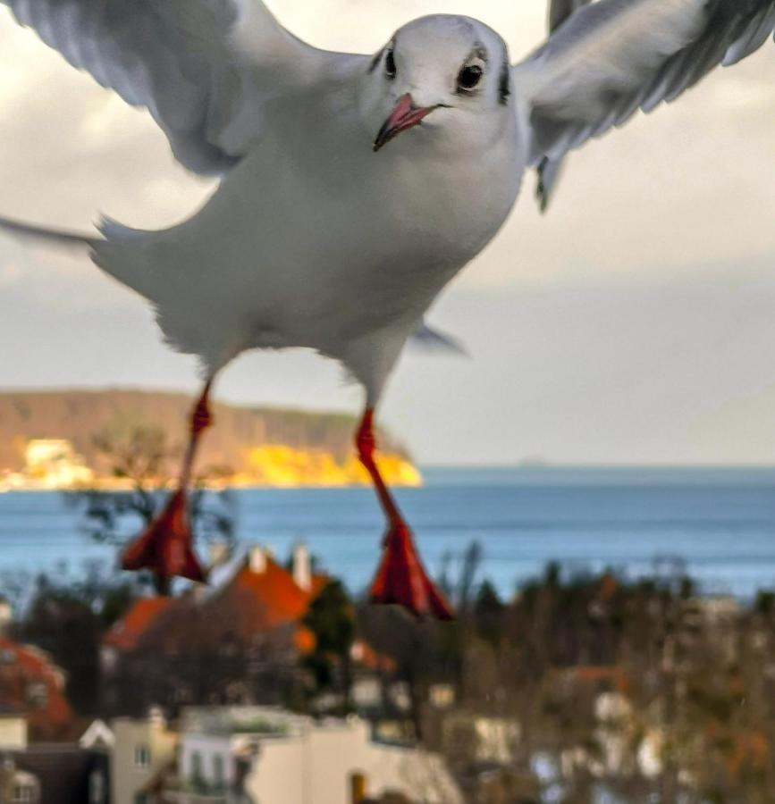 Pokoje Przy Plazy Z Widokiem Na Morze Sopot Esterno foto