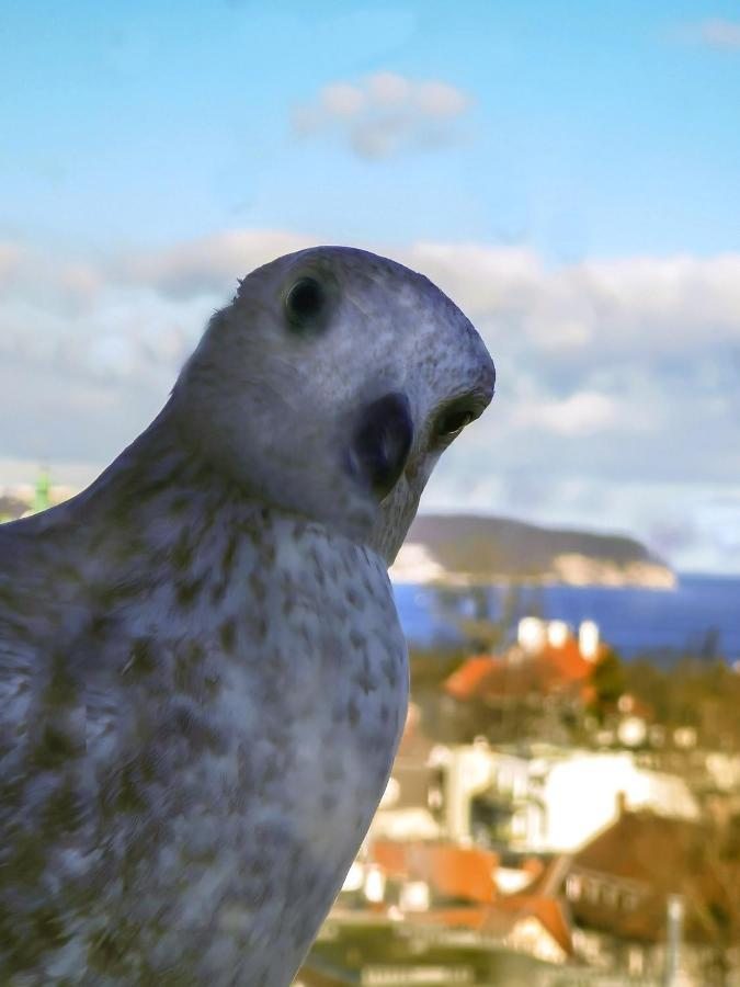 Pokoje Przy Plazy Z Widokiem Na Morze Sopot Esterno foto