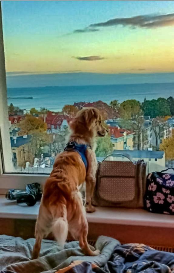 Pokoje Przy Plazy Z Widokiem Na Morze Sopot Esterno foto