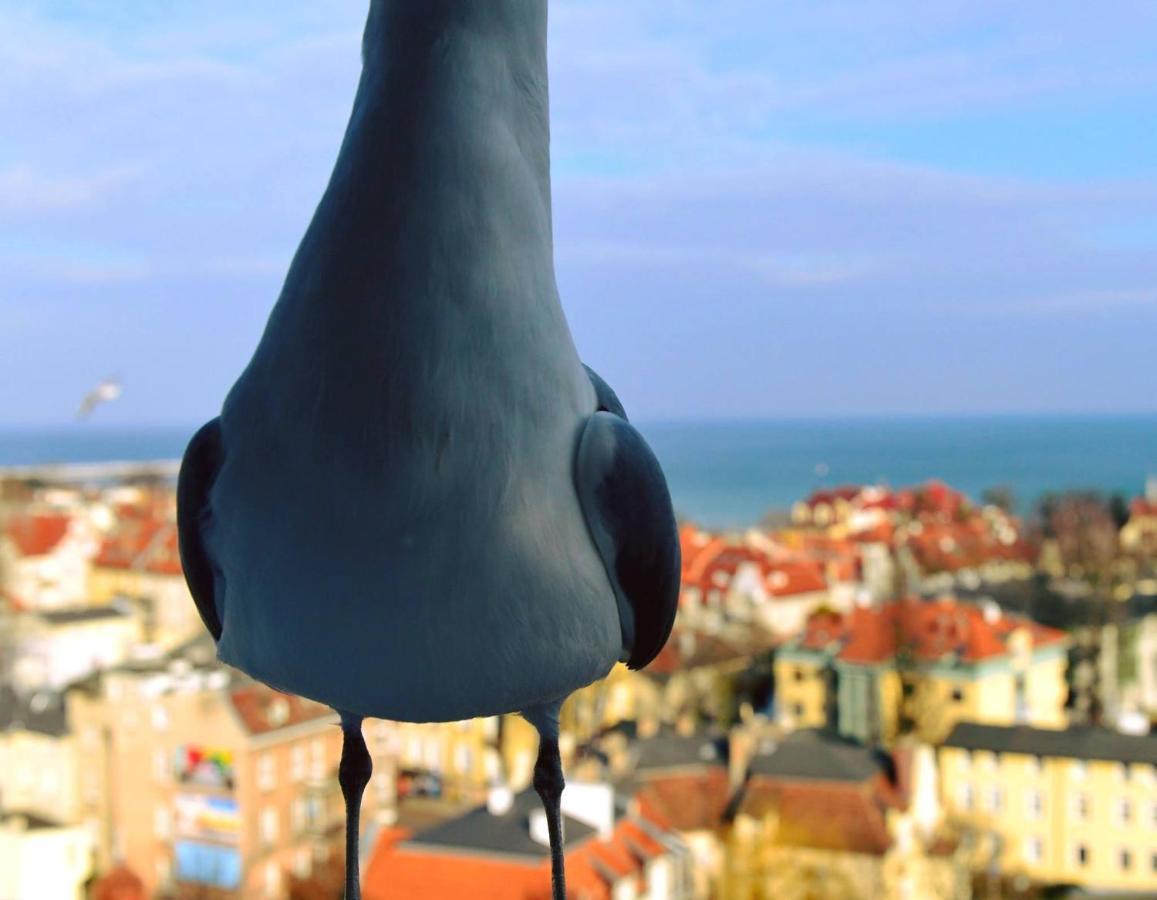 Pokoje Przy Plazy Z Widokiem Na Morze Sopot Esterno foto