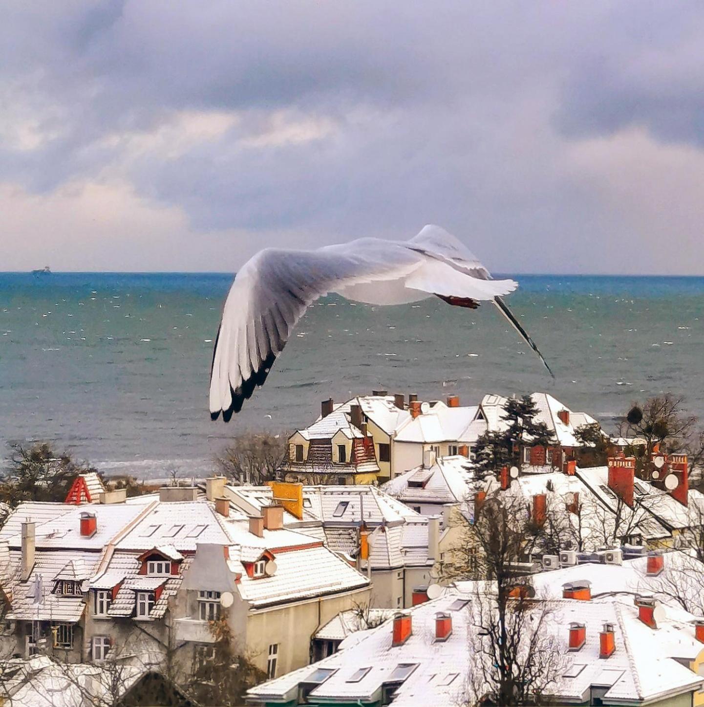Pokoje Przy Plazy Z Widokiem Na Morze Sopot Esterno foto